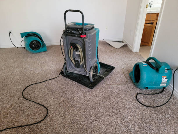 Best Flood damage cleanup  in Commercial Point, OH