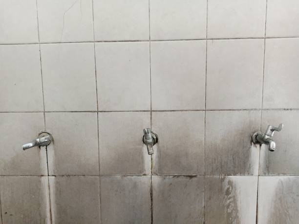 Best Mold removal after water damage  in Commercial Point, OH