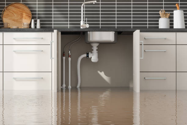 Best 24/7 water damage repair  in Commercial Point, OH
